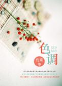 色调是色相吗