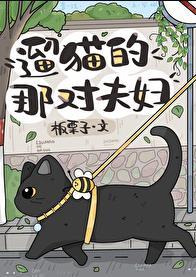 关于溜猫的朋友圈说说