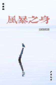 风暴之弓