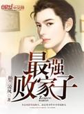 最强败家子游戏免广告破解版