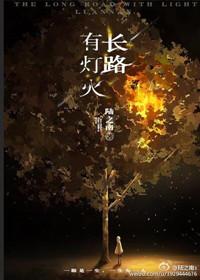 长路有灯灭