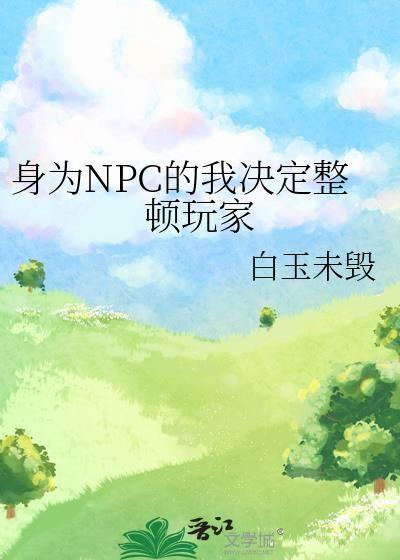 身为NPC的我决定整顿玩家