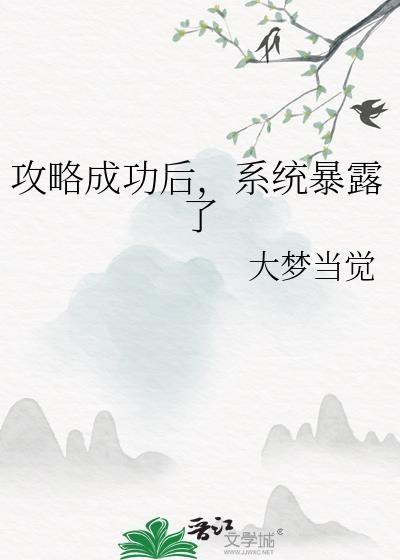 攻略成功后，系统暴露了
